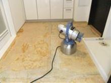 洗面所の床をはがしてペット用消臭剤をミスト噴霧している画像